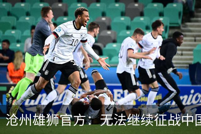 沧州雄狮官方：无法继续征战中国足球职业联赛